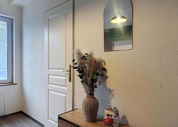 Apartamento Cosy&charmant - Centre Et Tranquillité Erstein